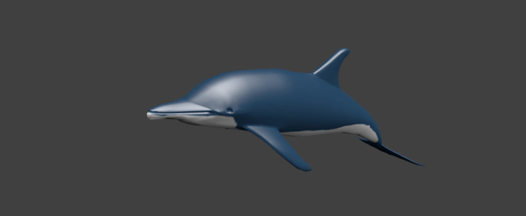 イルカのモデリング画像